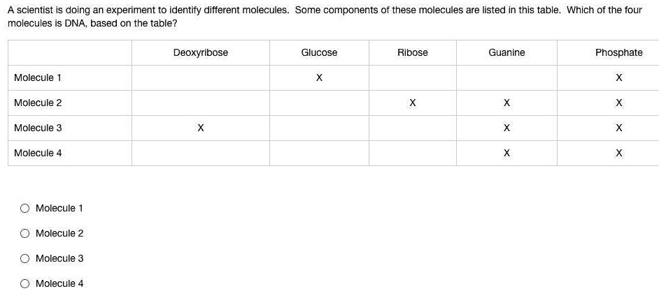 <p>A scientist is doing an experiment to identify different molecules. Some components of these molecules are listed in this table. Which of the four molecules is DNA, based on the table to the right?</p>