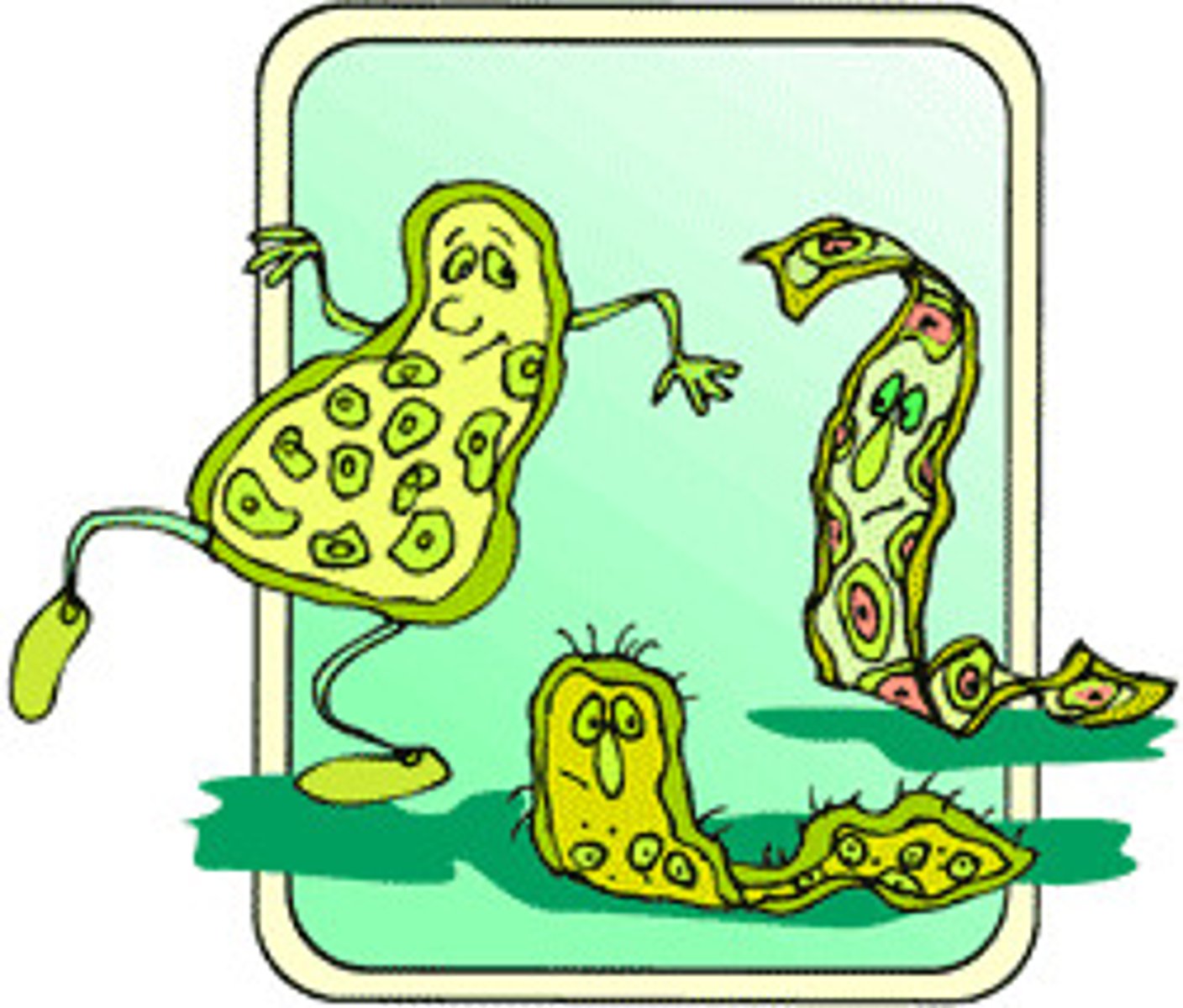 <p>microbial parasite that inflicts damage in a host and causes disease</p>