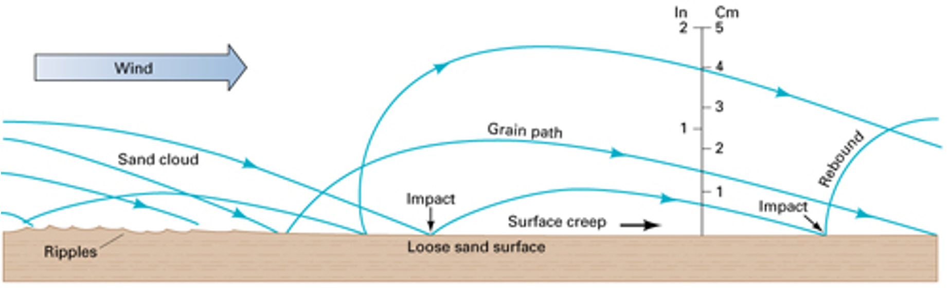 de golvende, sprongsgewijze manier van transport van sediment door de wind. door de druk waarmee een deeltje uit de lucht valt, wordt een ander deeltje omhoog geblazen. 