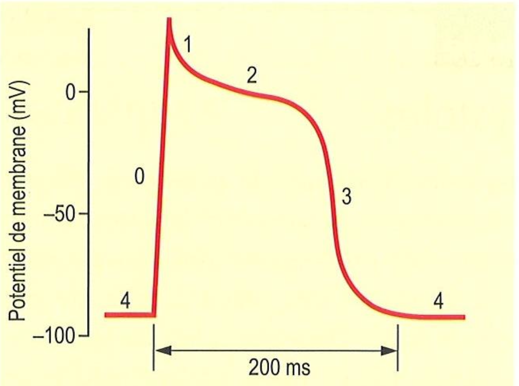 <p>In terms of channel activity, what happens at 0</p>