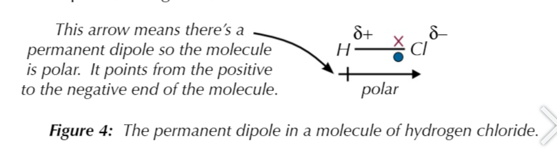 <p>are molecules with permanent dipoles</p>