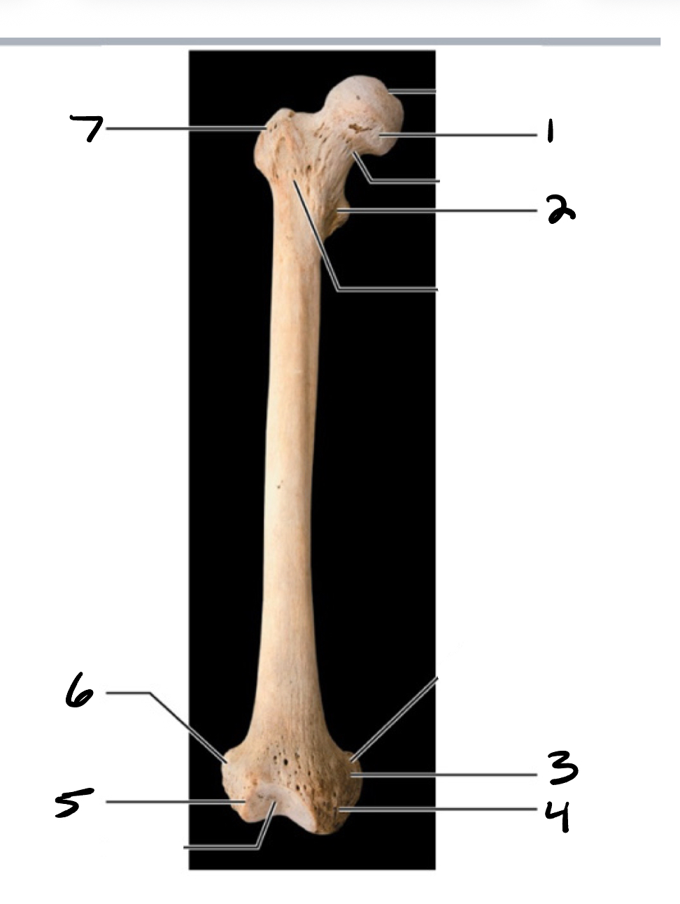 <p>1</p>