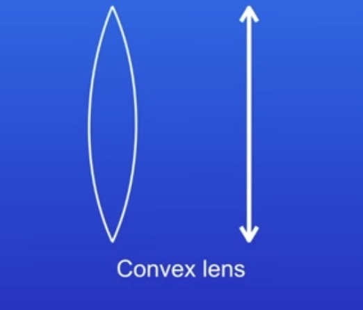 <p>Thicker at the centre than edges </p><p>Arrow looking symbol </p>