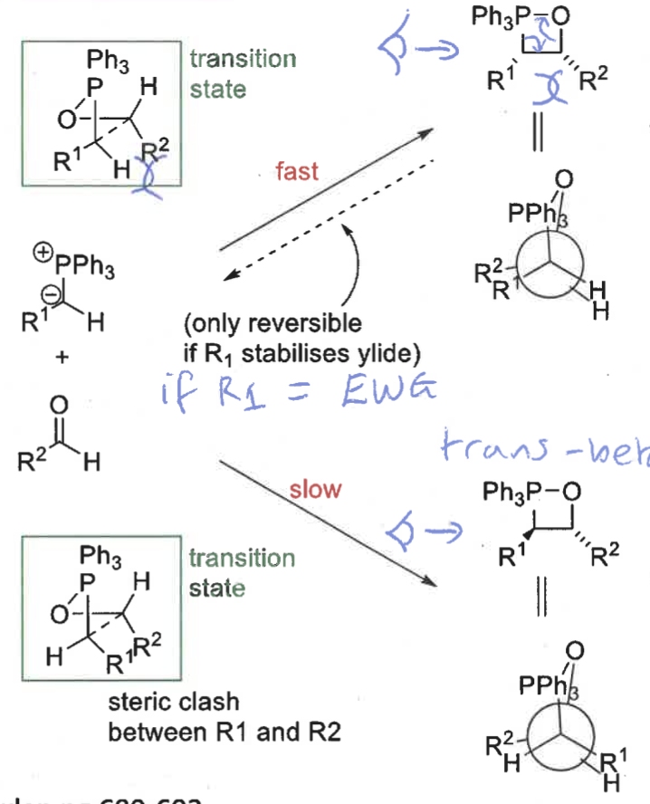 <p>cis transition state is more stable - R groups on opposite sides </p><p>trans transition state has R groups overlapping = steric clash </p>