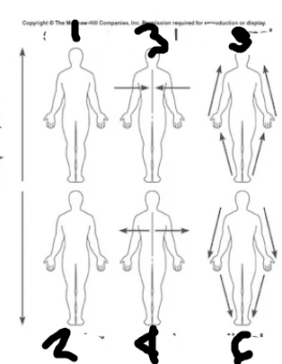 <p>3?</p>