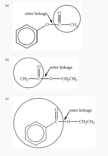 <p>The portion from the acid is the alkyl group, while the ester linkage is the -COO- bond connecting the alkyl group to the remainder of the molecule. </p>