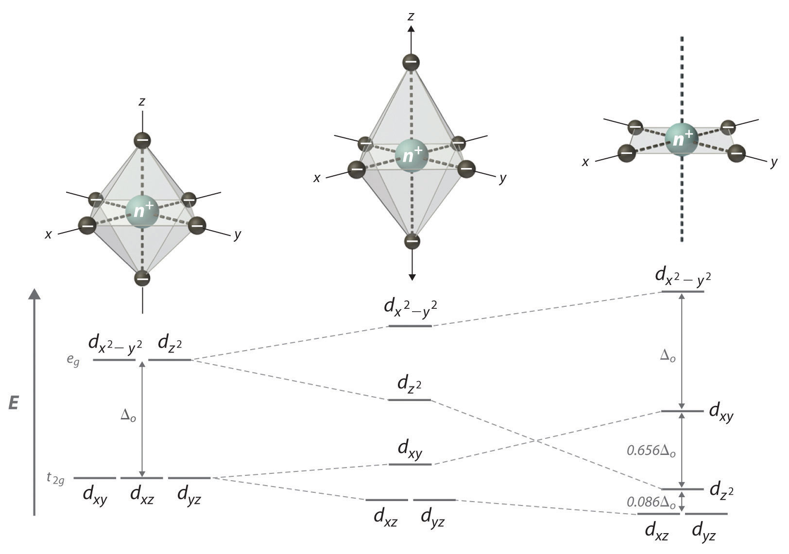 <ul><li><p>Most TM compounds adopt an octahedral geometry with six ligands about the metal center, positioned along the Cartesian axes (±X, ±Y, ±Z).</p></li></ul><ul><li><p>Attraction: Highly stable due to attraction between negative ligand charges and the positive metal cation.</p></li><li><p>Repulsion: Ligand lone pairs act as negative point charges that also repel the negatively charged d-electrons of the metal, creating local electrostatic repulsion.</p></li></ul><p></p>