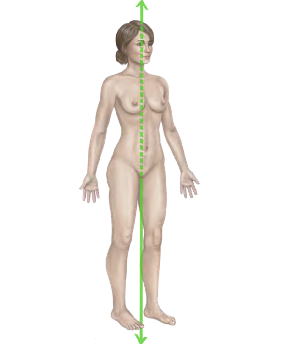 <p>Vertical Axis</p>