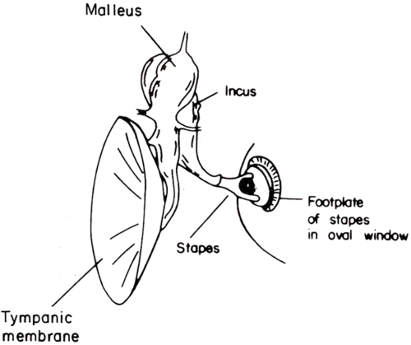 <p>What does a rigid connection mean?</p>