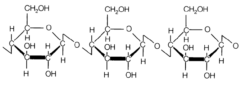 <p>Polyosides ou Polysaccharides complexes: Cellulose</p>