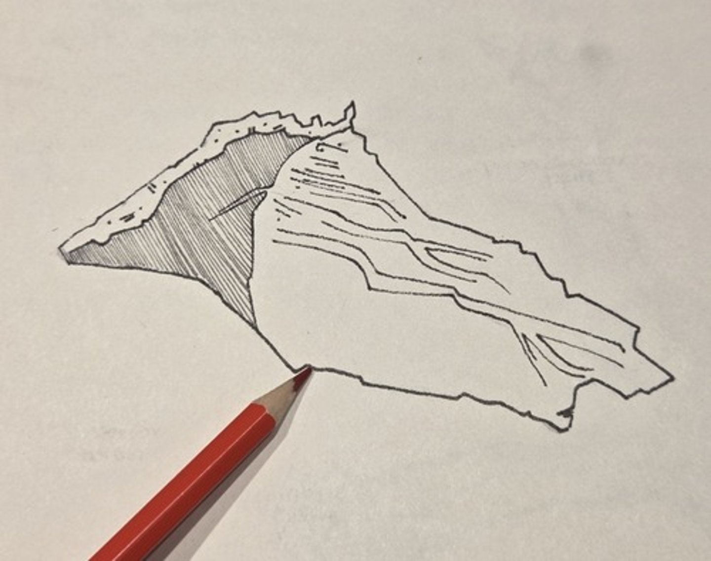 <p>nonarticular part of the vomer that divides the posterior nasal aperture into two halves</p>