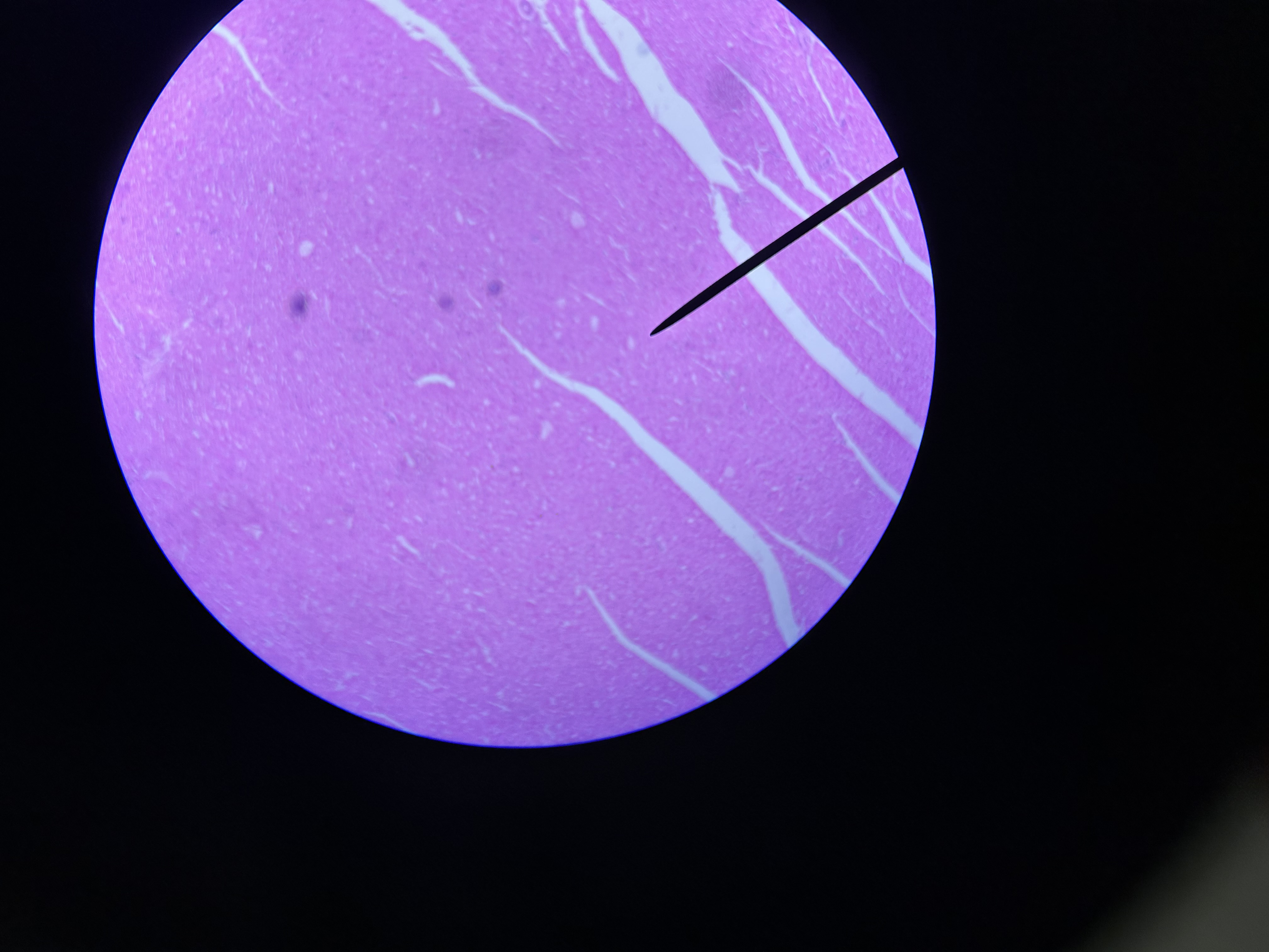 <p>What is this?</p>