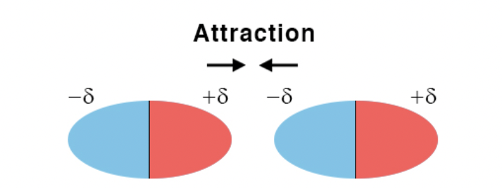 <p>an attractive force between the positive end of one polar molecule and the negative end of another polar molecule</p>