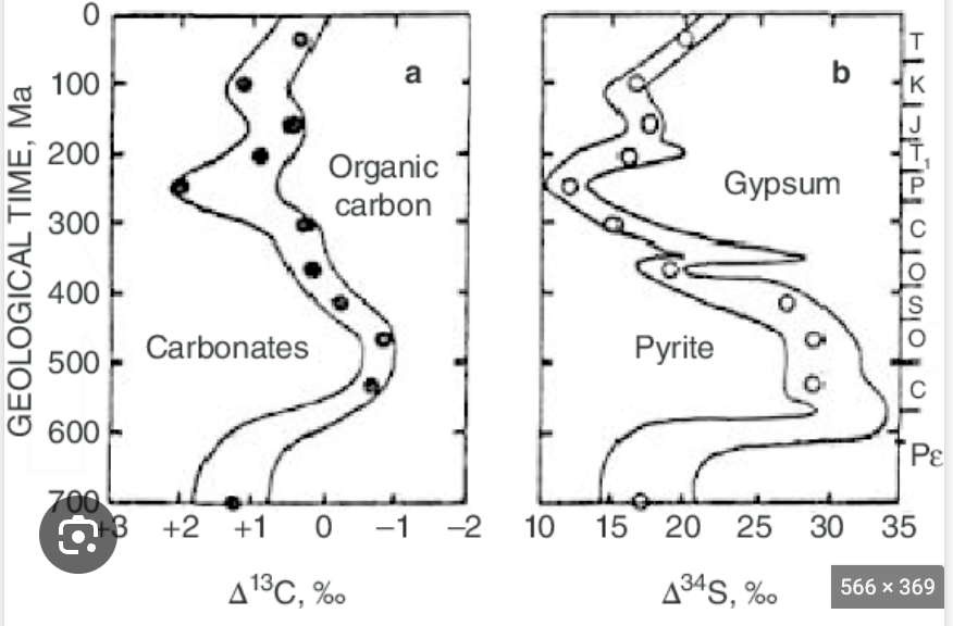<p>anti correlation. when carbon isotopes are heavy, sulfur isotopes are lighter.&nbsp;</p>
