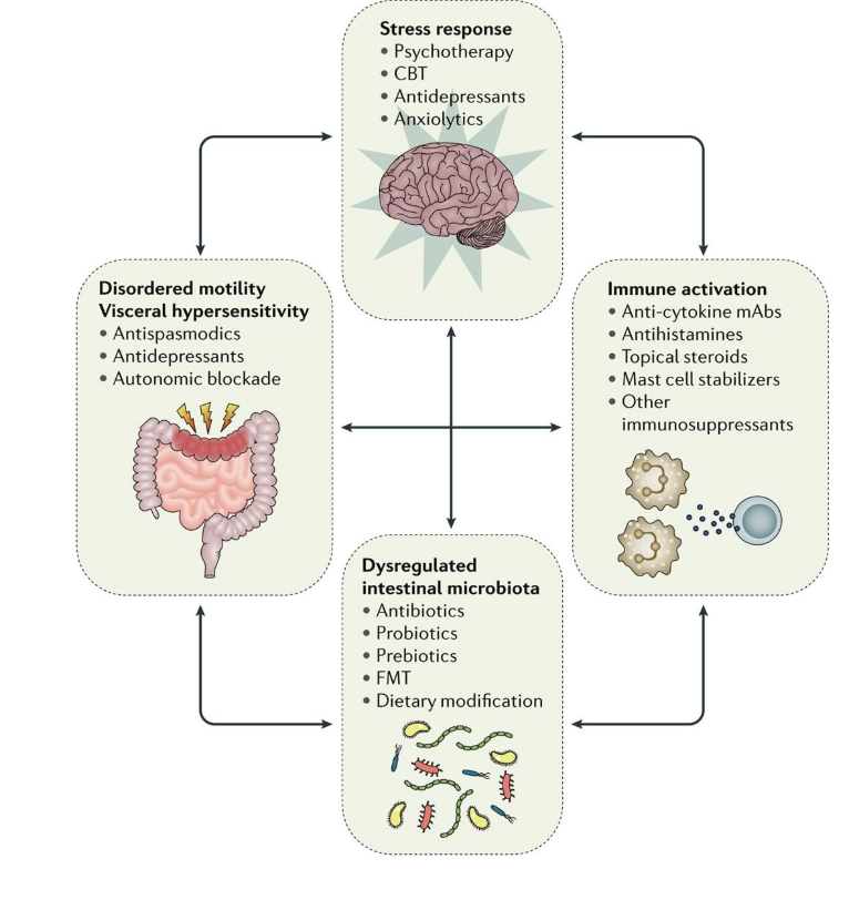 <ul><li><p>neurological diseases</p></li><li><p>targeting the microbiome may prove helpful in treating neurological disorders</p></li></ul><p></p>