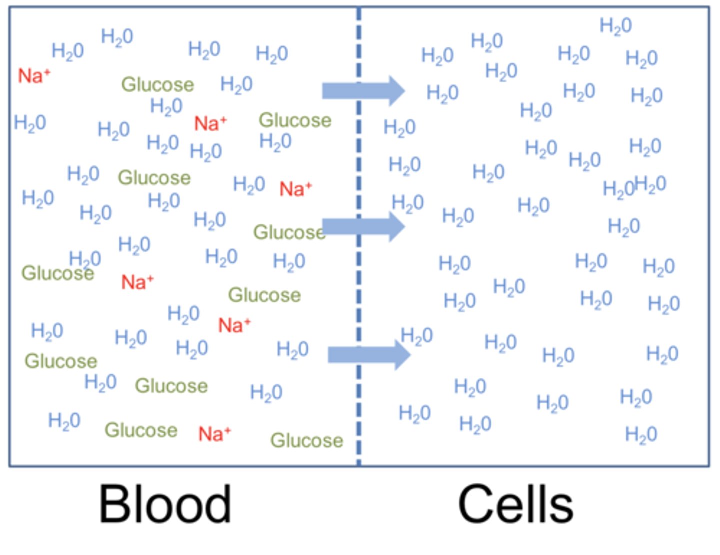 <p>Is this high osmolality or low osmolality?</p>