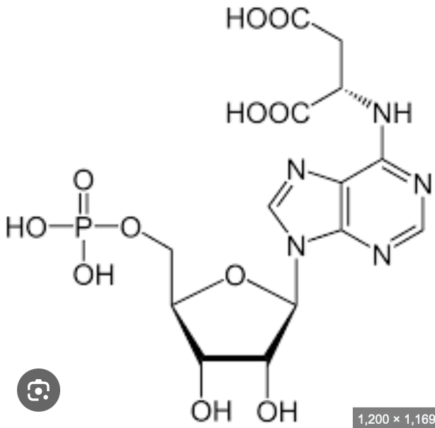 <p>what molecule is this?</p>
