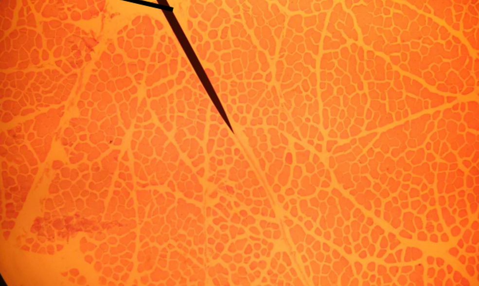 <p>What is the pointer on?</p>