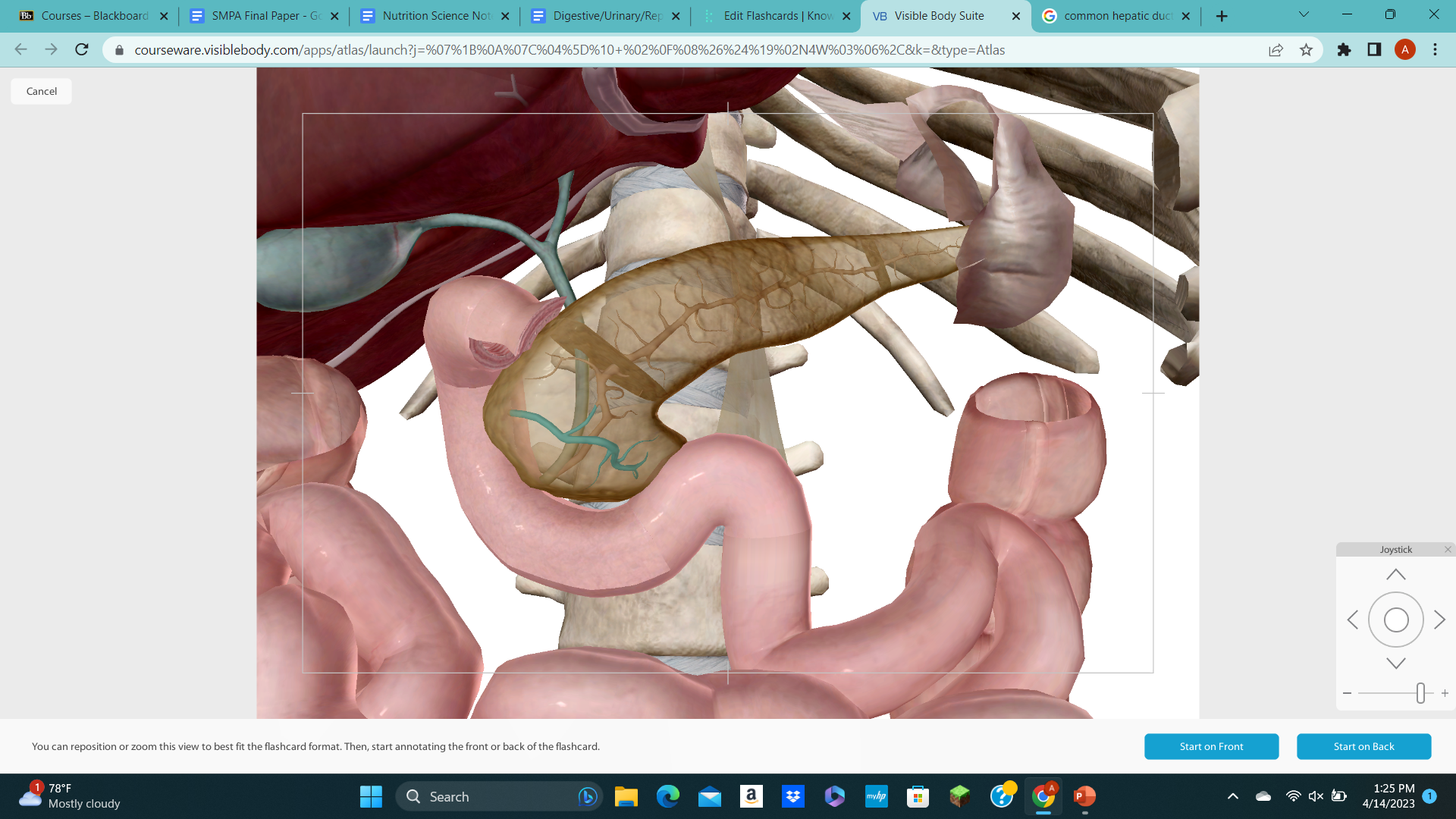 knowt flashcard image
