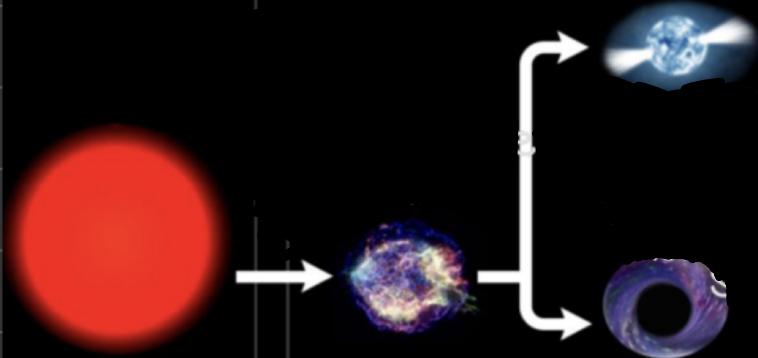 <p>red super giants → supernova → neutron star or black hole </p>
