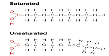 <p>Saturated and Unsaturated </p>