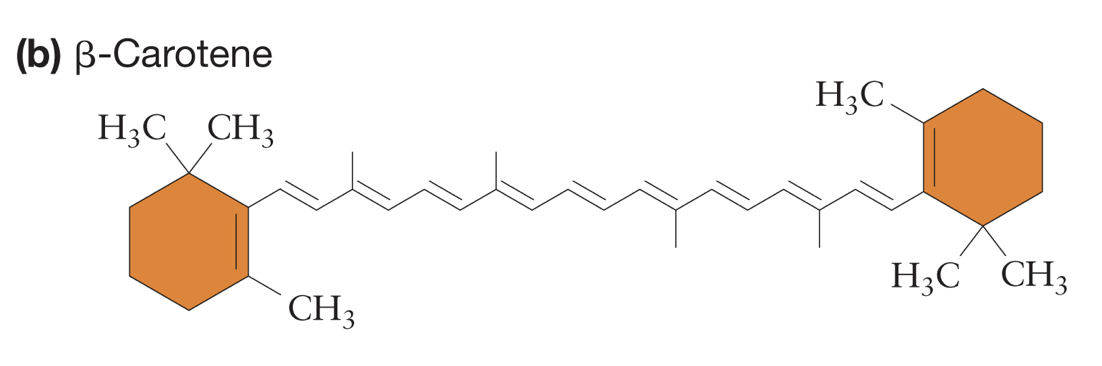 <p>What are carotenoids?</p>