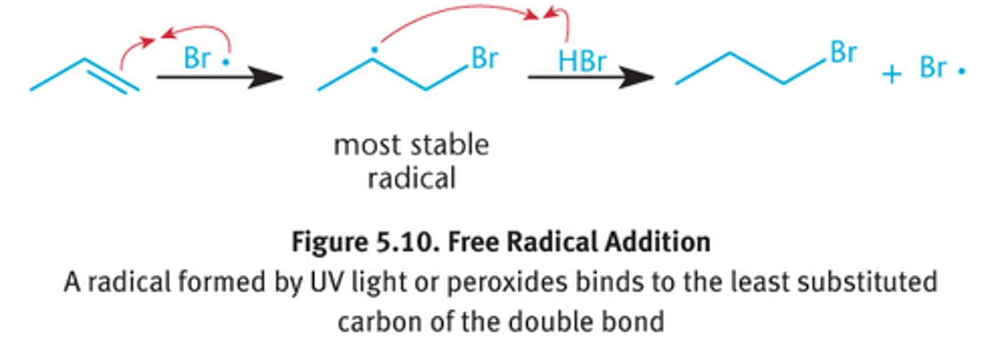 <p>HBr, H2O2 or light/heat</p><p>forms: alkyl bromide</p><p>carbocation? no</p><p>rearrangement? no</p><p>regiochem? anti-markovnikov</p><p>stereochem? none</p>