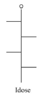 <p>hex- aldose</p><p>L, R, L, R</p>