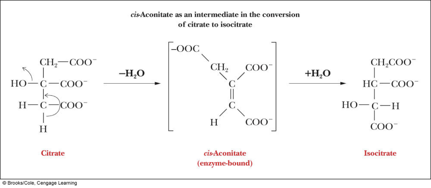 Does citrate have a stereocenter? 

\
