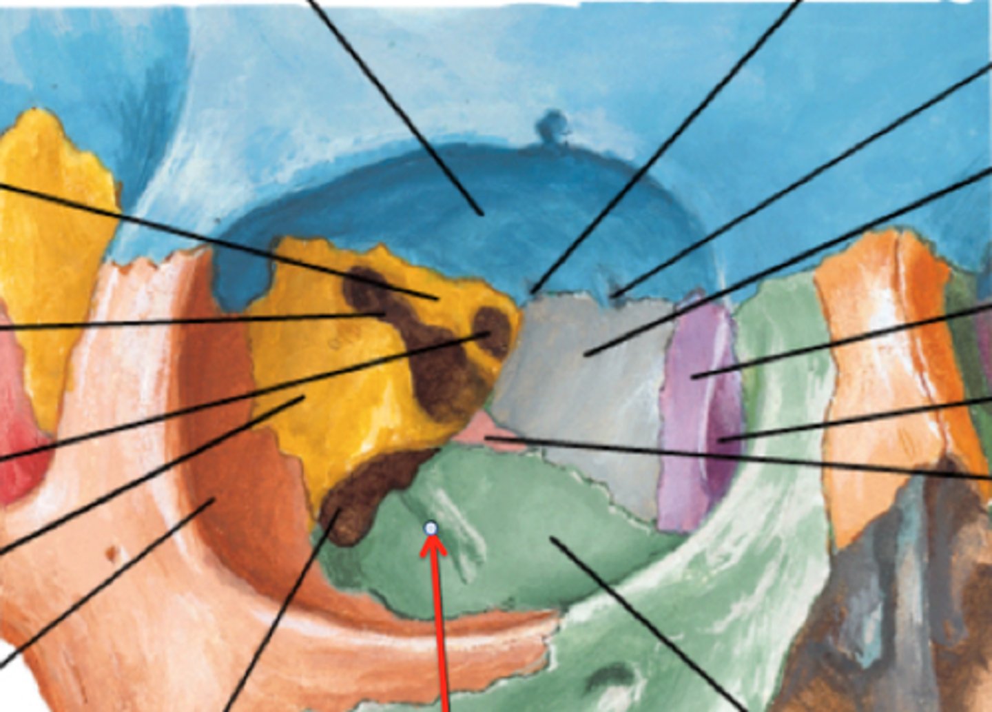 <p>depression on the orbital surface of maxilla</p>