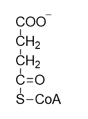 <p>What compound is this?</p>