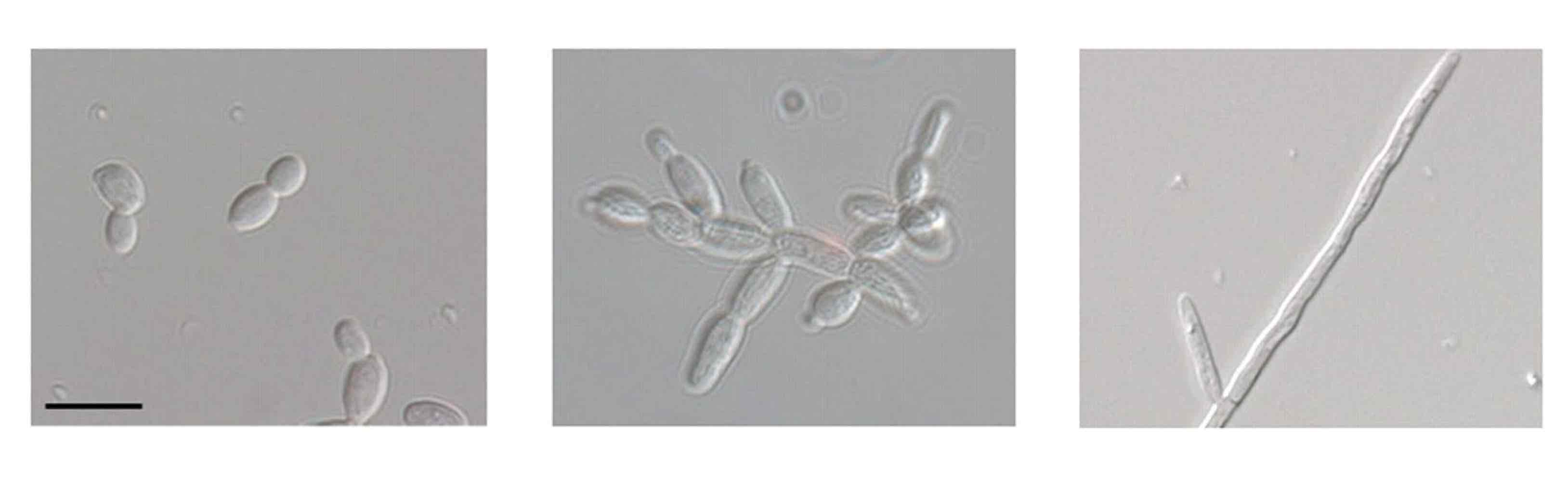<p>What are these?</p>