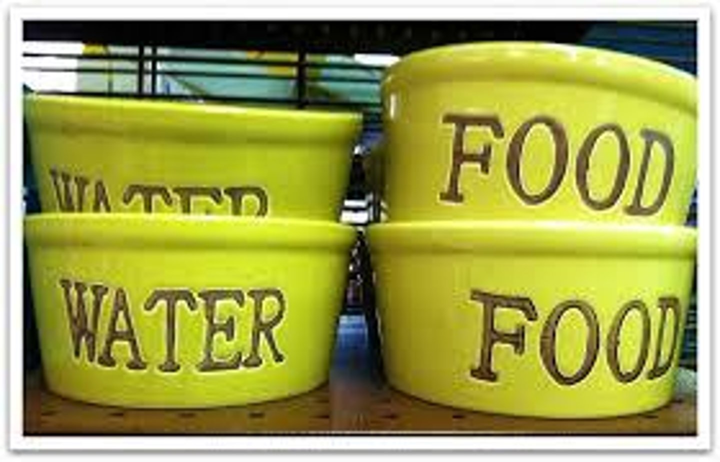 <p>Things we naturally like, such as food or water.</p>