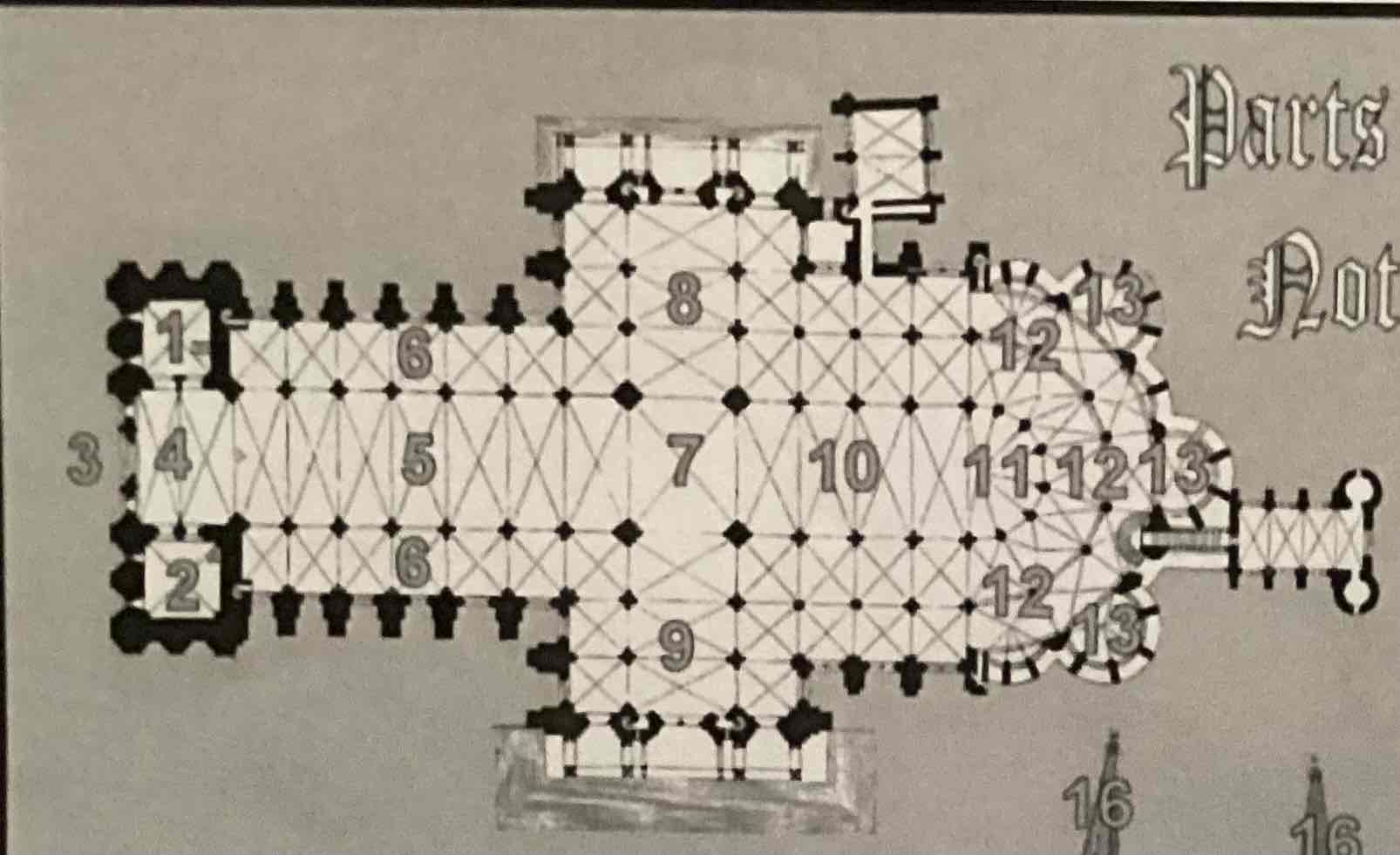 <p>10</p>