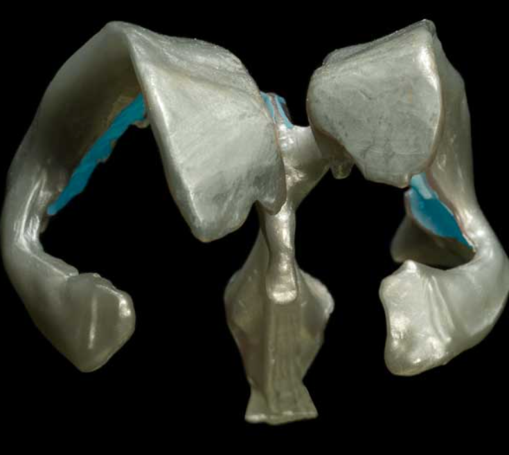 term image