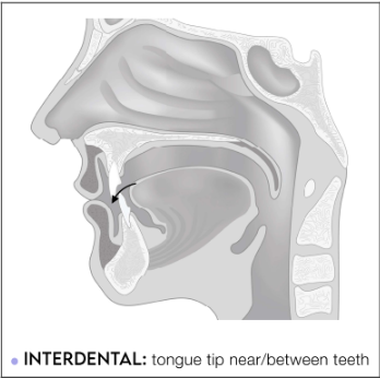 <p>tongue tip near/between teeth</p>