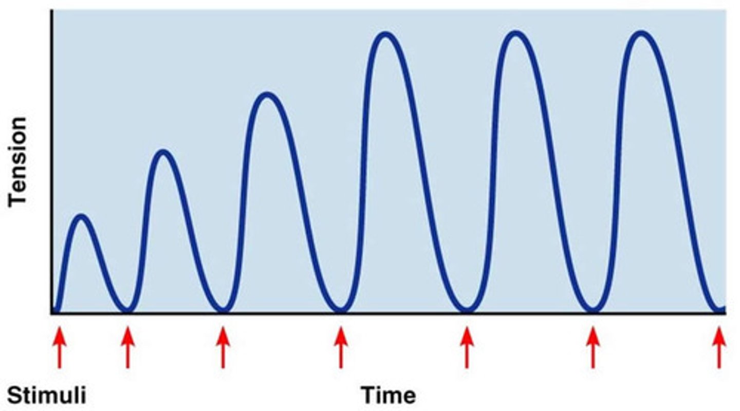 <p>Phenomenon in which each successive twitch contracts with similar amount of stimulus before.</p>