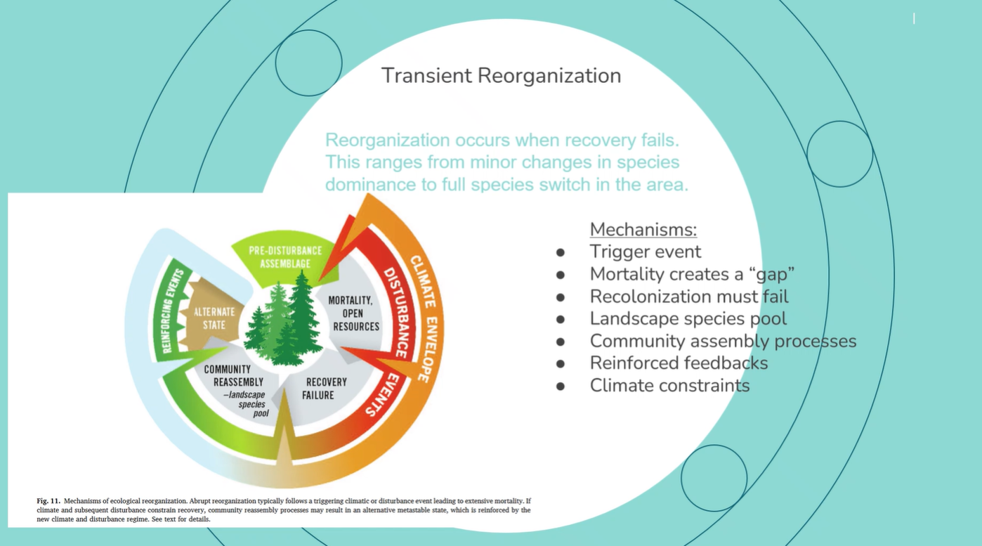 <p>occurs when the recovery of an ecosystem fails which leads to an alternate state where we can’t go back to our pre-disturbance assemblage</p>