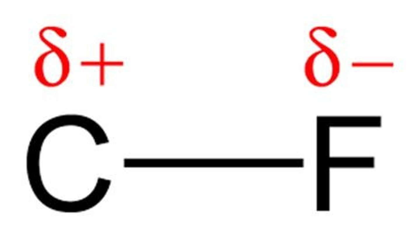 <p>Fluorine (F), Nitrogen (N), Oxygen (O), and Chlorine (Cl).</p>