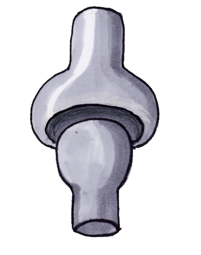 <p>Name and describe the following joint: </p>