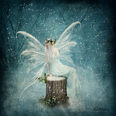 <p>fairy</p>