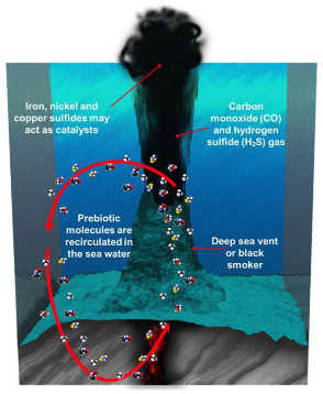 <ul><li><p>Life may have arisen at ancient volcanic vents which provided the necessary conditions for life:</p></li><li><p>Gases</p></li><li><p>Energy (heat)</p></li><li><p>A possible source of catalysts (metal sulfides) for life to develop.</p></li></ul>