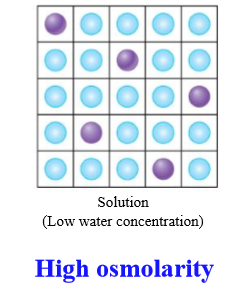 <p>Low concentration</p><p></p>