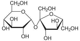 <p>A carbohydrate composed of two monosaccharides bonded together by a glycosidic linkage formed via dehydration synthesis. Ex: Sucrose, Lactose.</p>