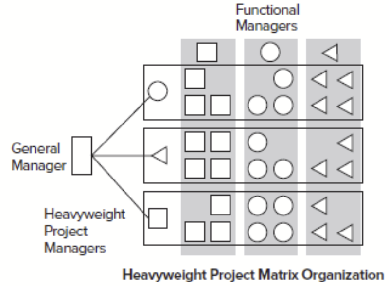 <p>Contains strong project links.  Project manager has complete budget authority, is heavily involved in performance and evaluation of team members, and makes the most of the major resource allocation decisions.</p><p></p>