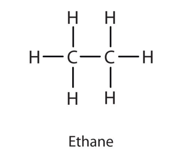 <ul><li><p>occupies a lot of space </p></li></ul><p></p>