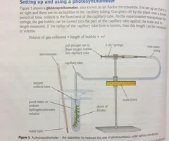 <p>1) Gas given off by the plant, over a known period of time, collects in the flared end of the capillary tube.</p><p></p><p>2) As the experimenter manipulates the syringe, the gas bubble can be moved into the part of the capillary tube against the scale and its length measured.</p><p></p><p>3) If the radius of the capillary tube bore is known, then this length can be converted to volume</p><p></p><p>Volume of gas= Length of bubble x Pir^2</p>