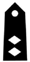 Lieutenant Colonel (Lt. Col.)