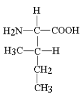 The amino acid depicted in the image can participate in what sort of tertiary interactions?
