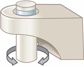 <p>description: 1 bone has projection; 2nd bone has ring-like structure</p><p>movement: rotation</p><p>example: C1 and C2 vertebra, proximal and distal radioulnar joints</p>